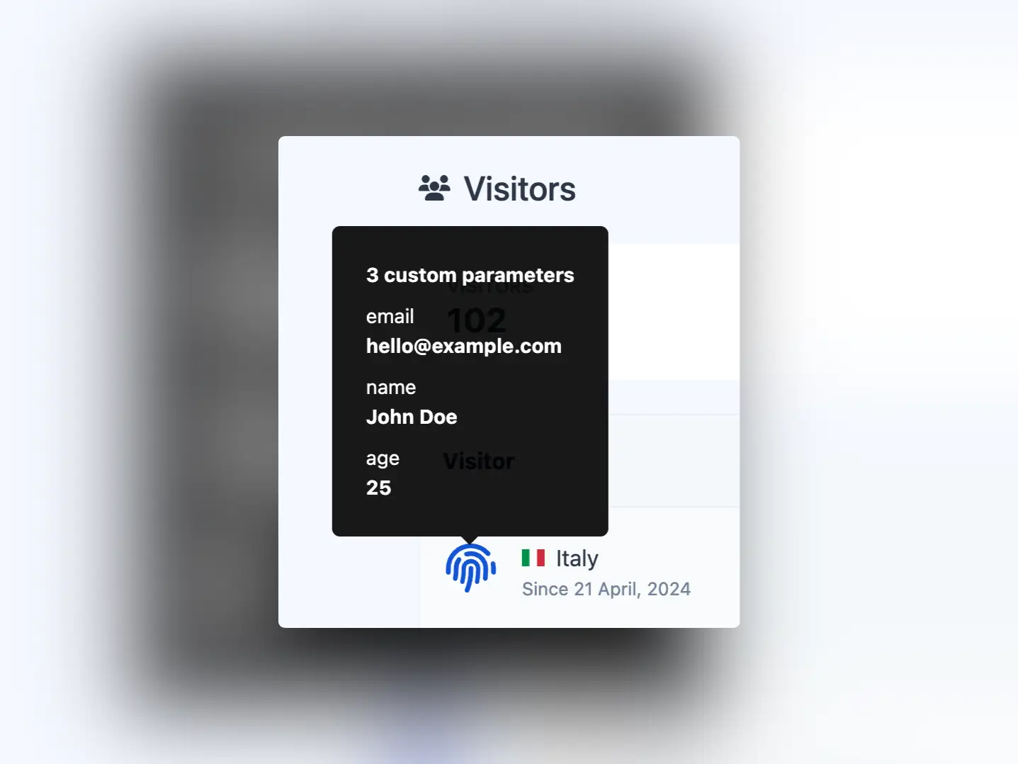Captura da tela do exemplo de parâmetros personalizados do visitante da aplicação